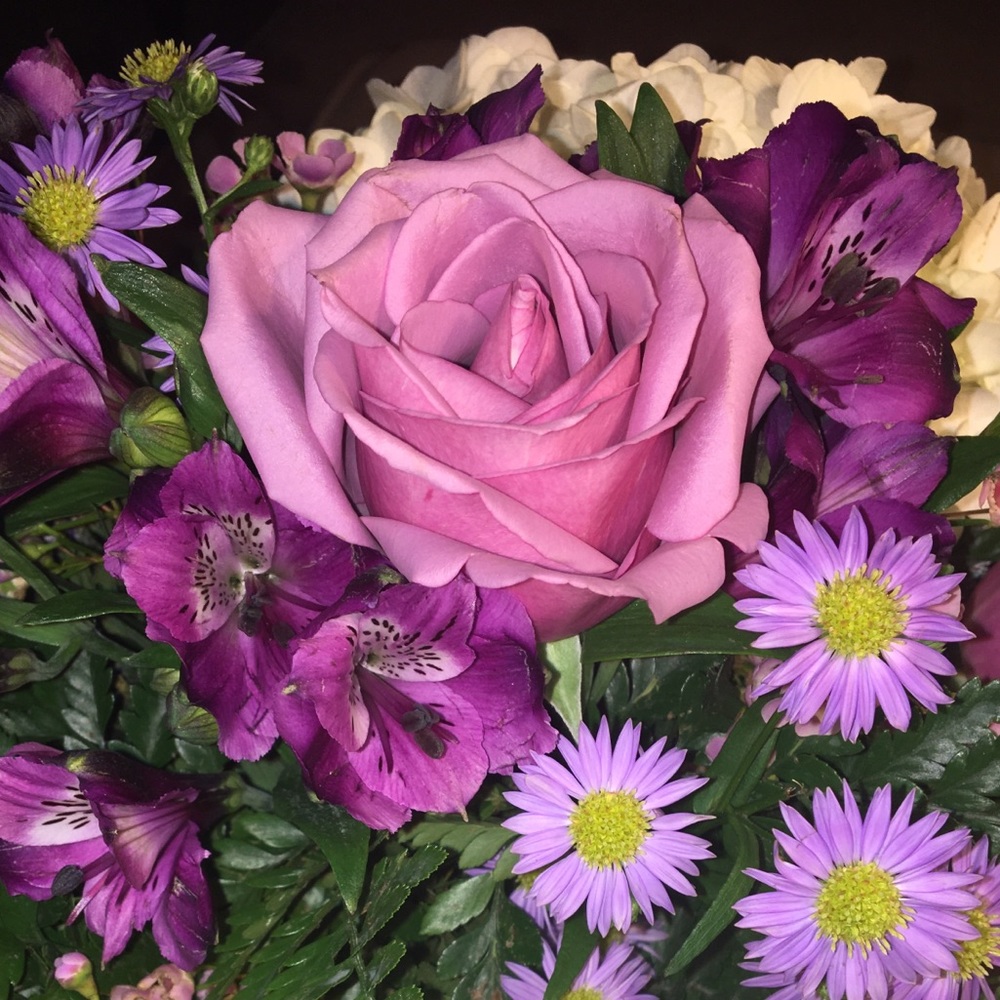 Meet your Posher, Isabelle